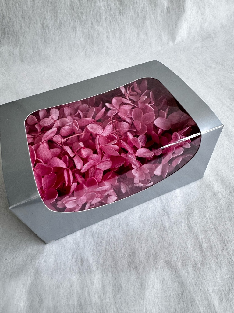 Hydrangea (petal )/Dark Red