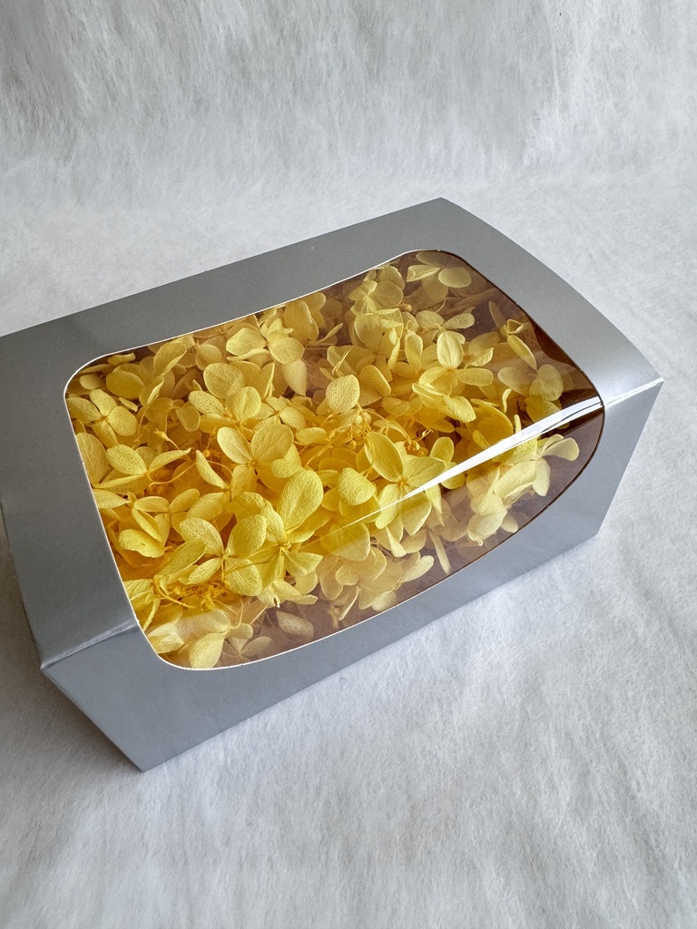 bright yellow / hydrangea (petal )