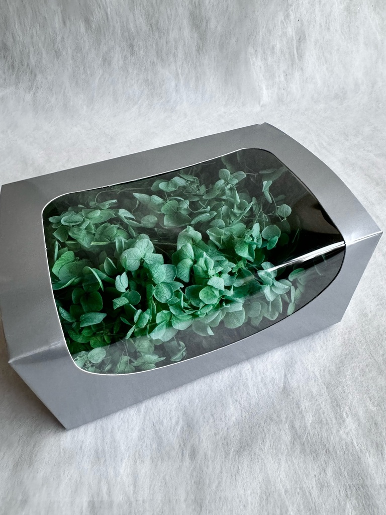 Hydrangea (petal )/Dark Green