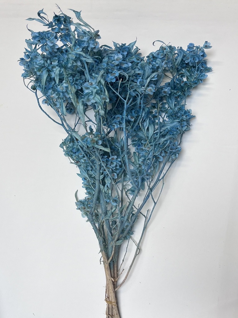 Tiffany Blue/Butterfly Flower