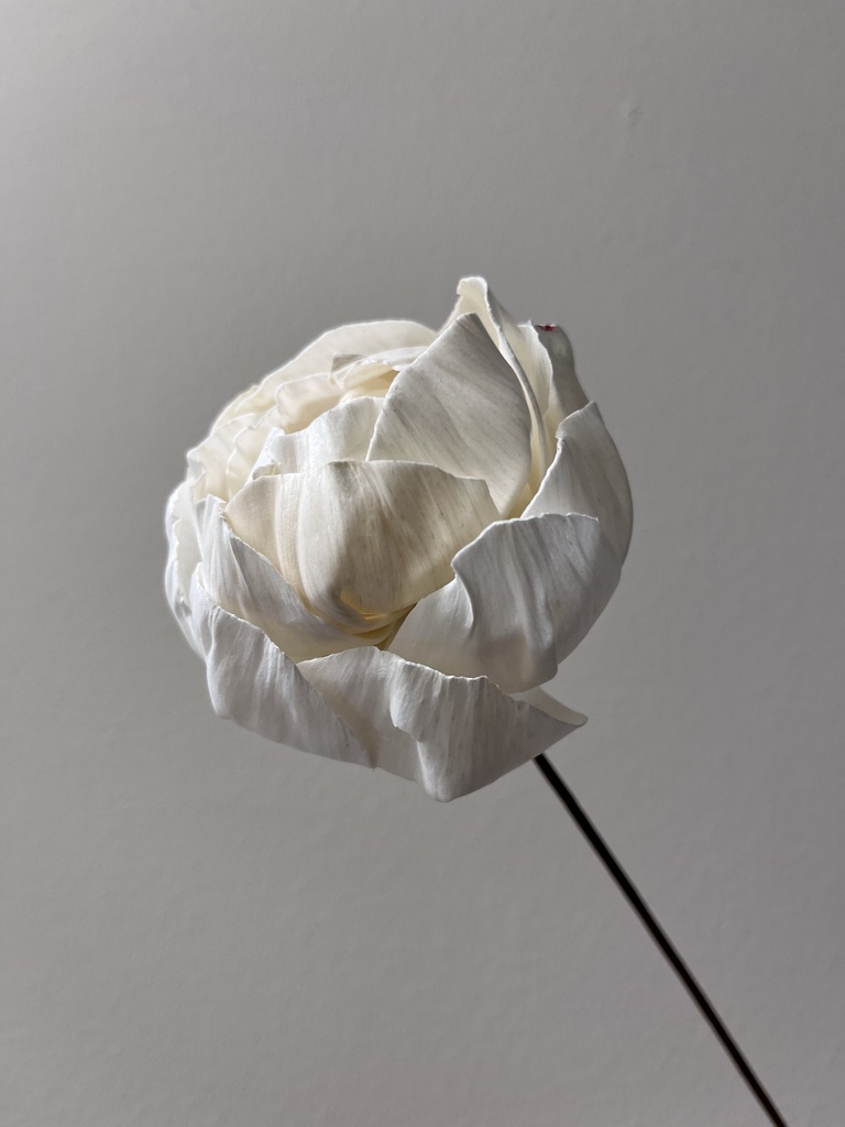 White/Sola Wood Flower(Peony shape) 