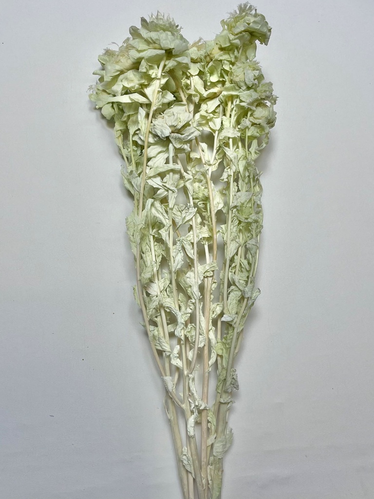 Light Green/Orange Pineapple Flower