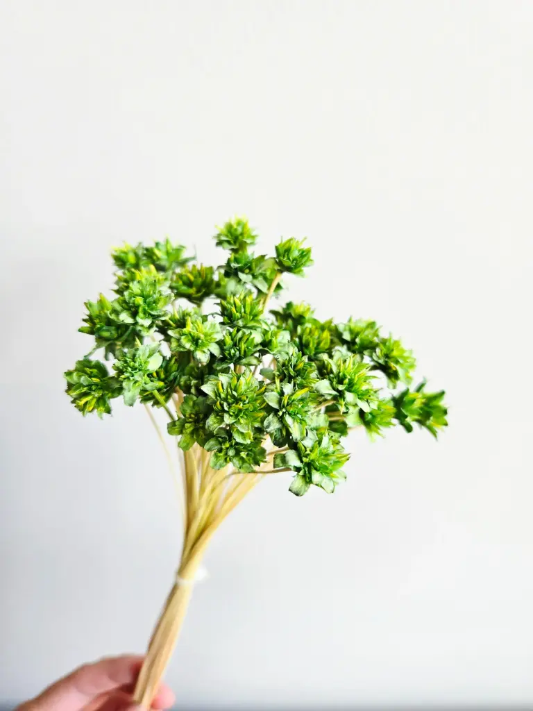 Grass Green/Mini Corn Flower