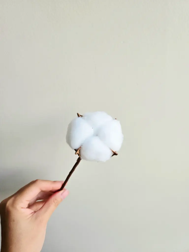 White/Cotton Flower(Single Head)