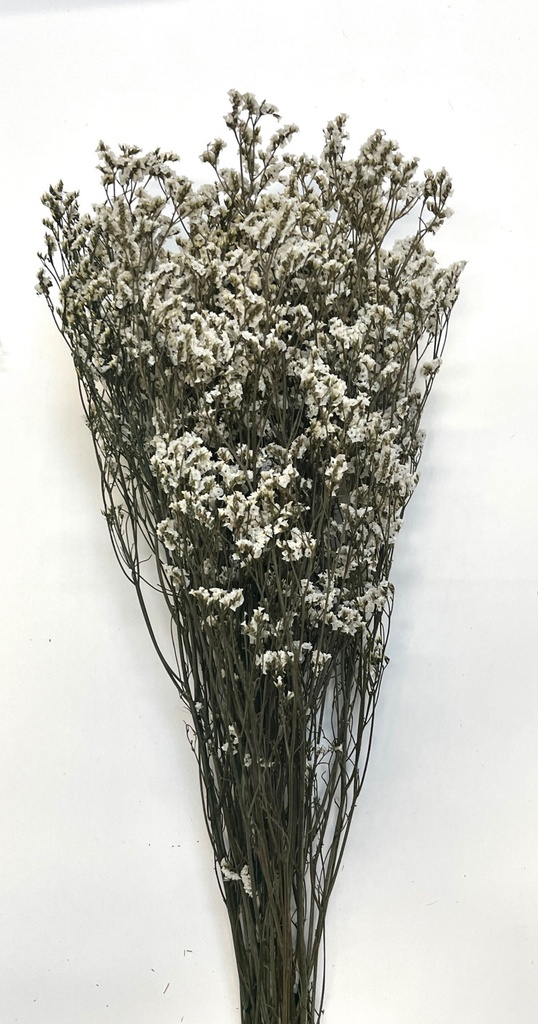 Natural color/Sea Lavender(Limonium)