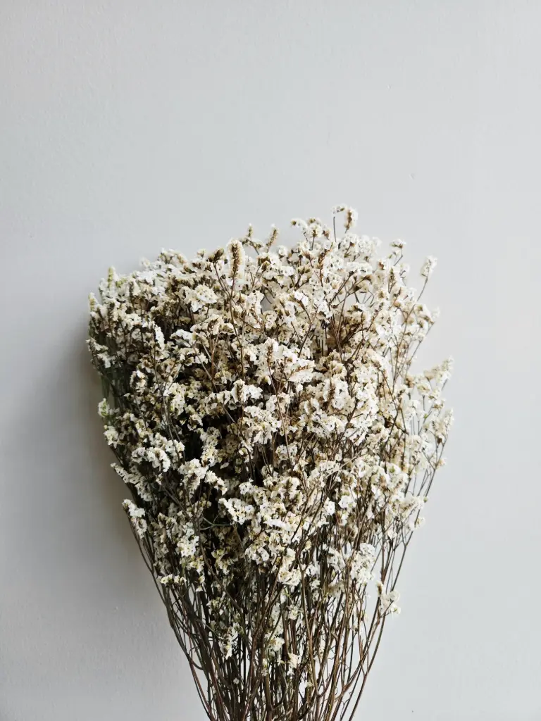 Natural/Sea Lavender(Limonium)