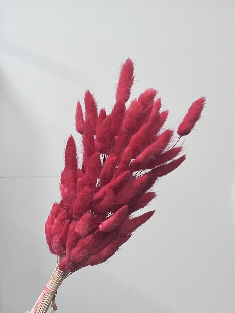 Reddish brown/Gem Grass