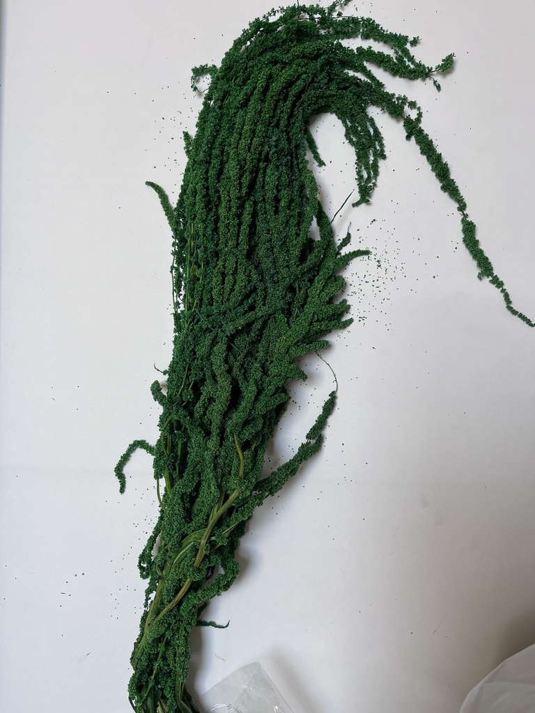 Dark green/Urith Amaranthus