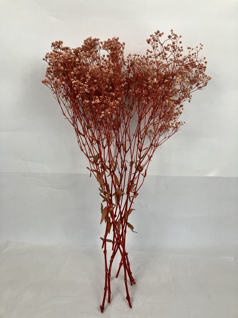 Light Pink (new) / Gypsophila