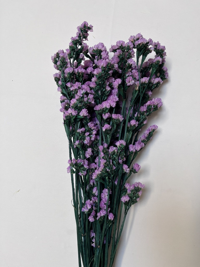 Purple/Preserved Statice