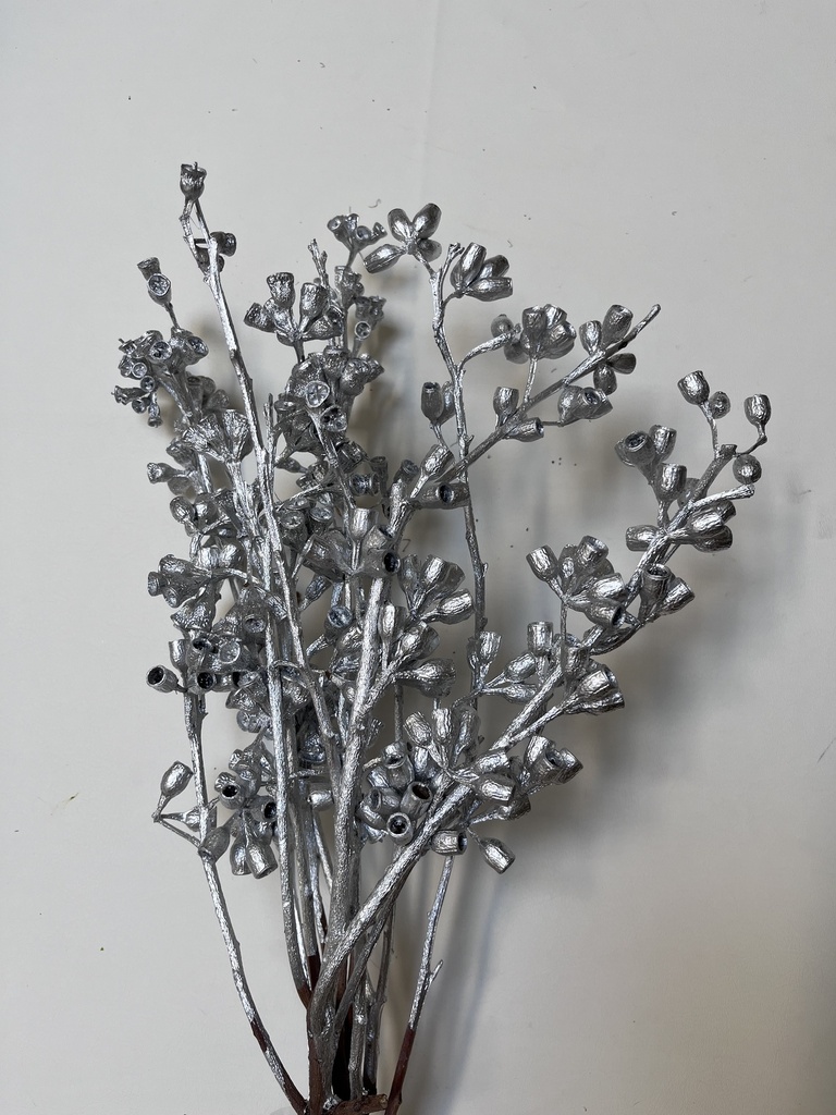 Silver / Eucalyptus Fruit 