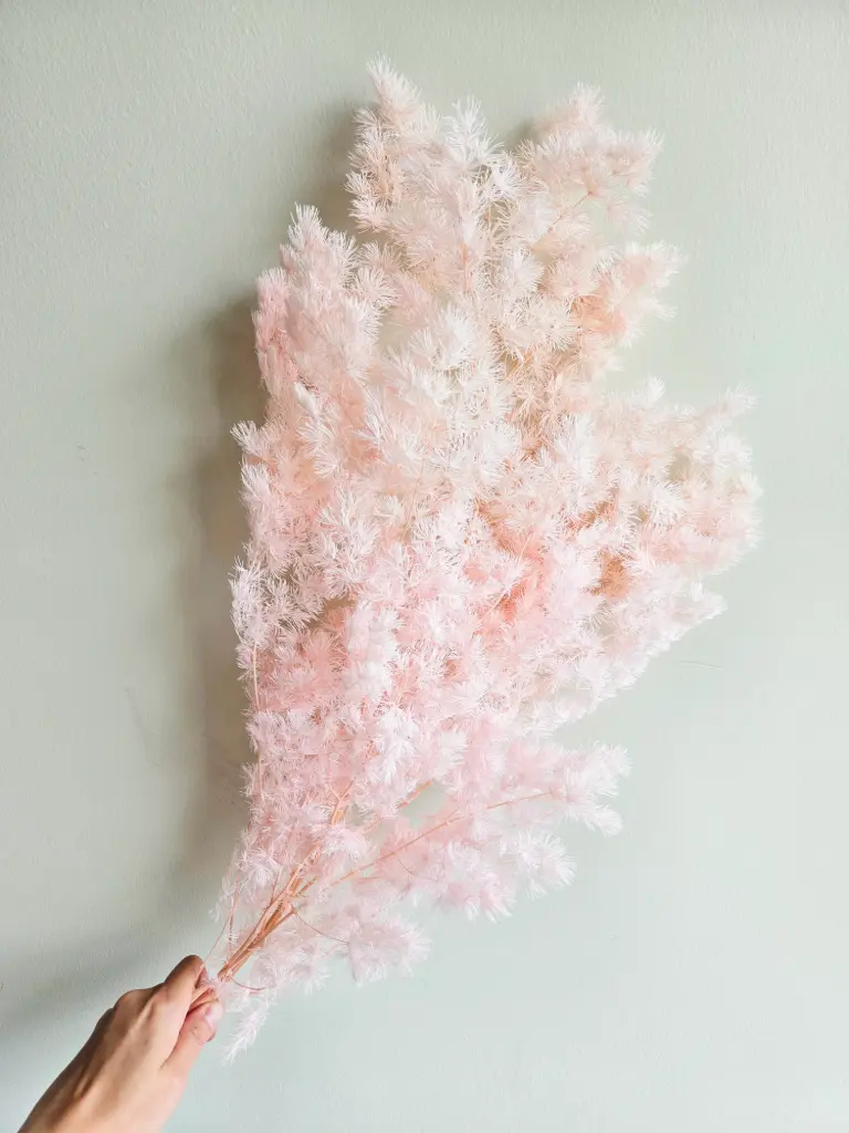 Pink/Ming fern