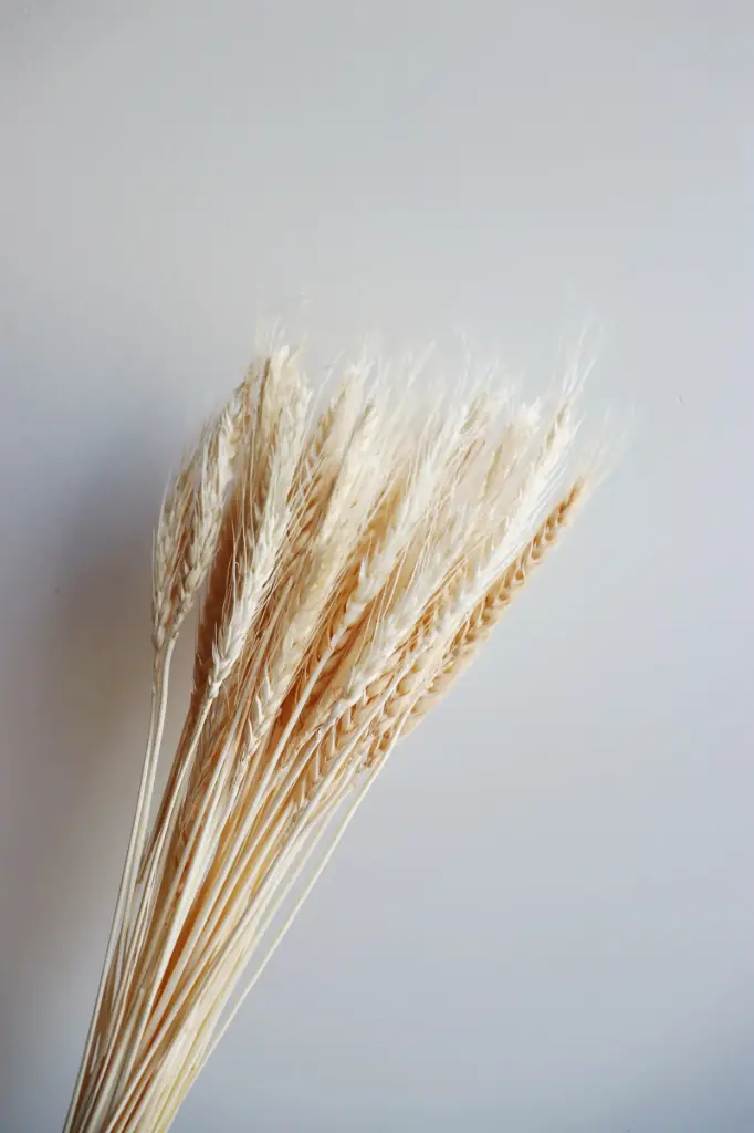 White/Wheat
