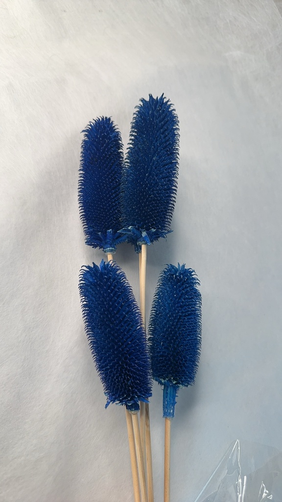 Royal blue/Thistle pods