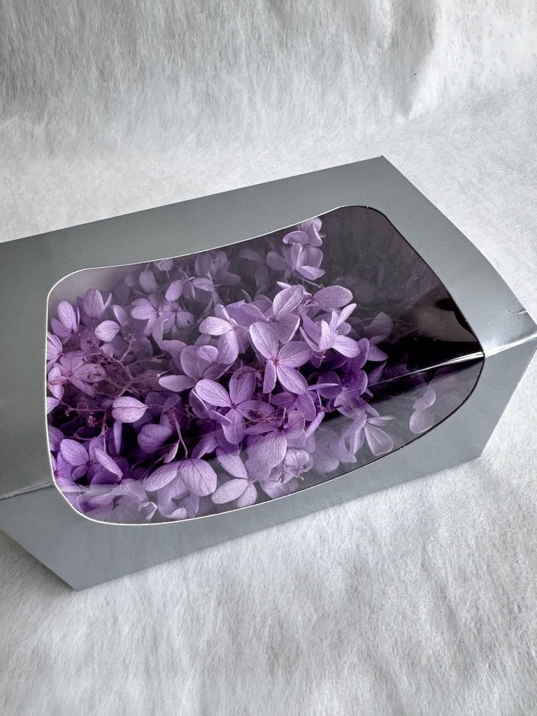 Hydrangea (petal )/Purple