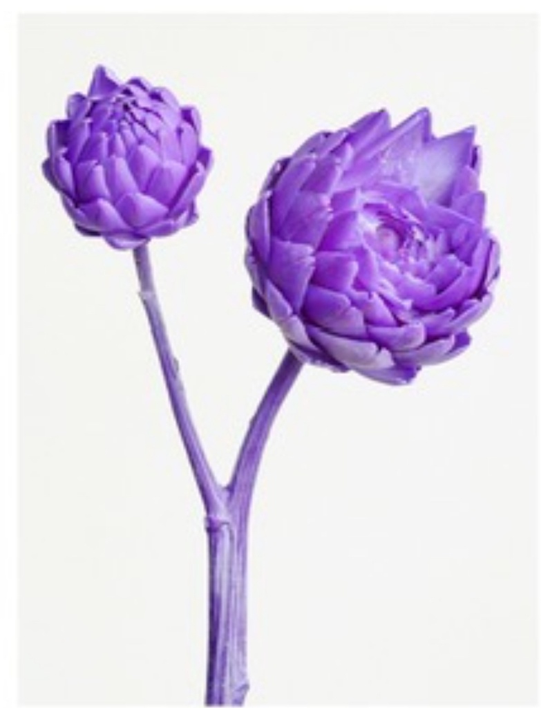 Violet / Mini / Artichoke 
