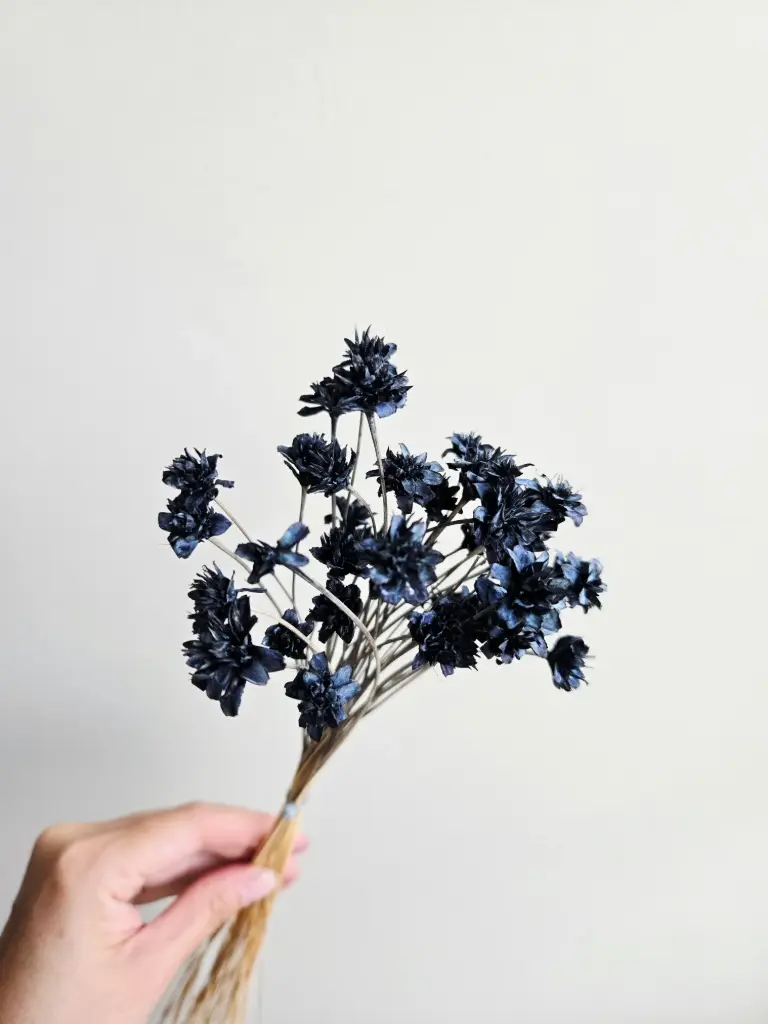Dark Blue/Mini Corn Flower