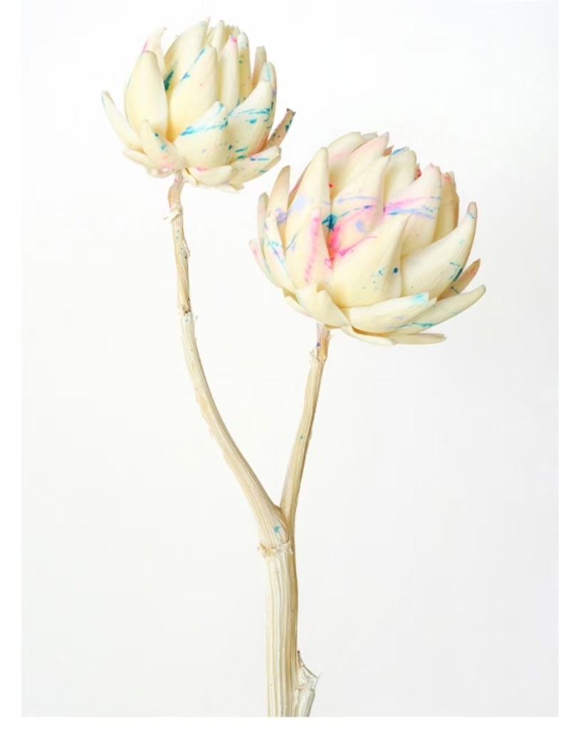 Artichoke/Mini/Picasso White