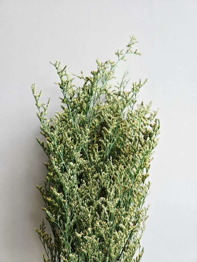 Lime Green/Limonium/Caspia (Lover Grass)