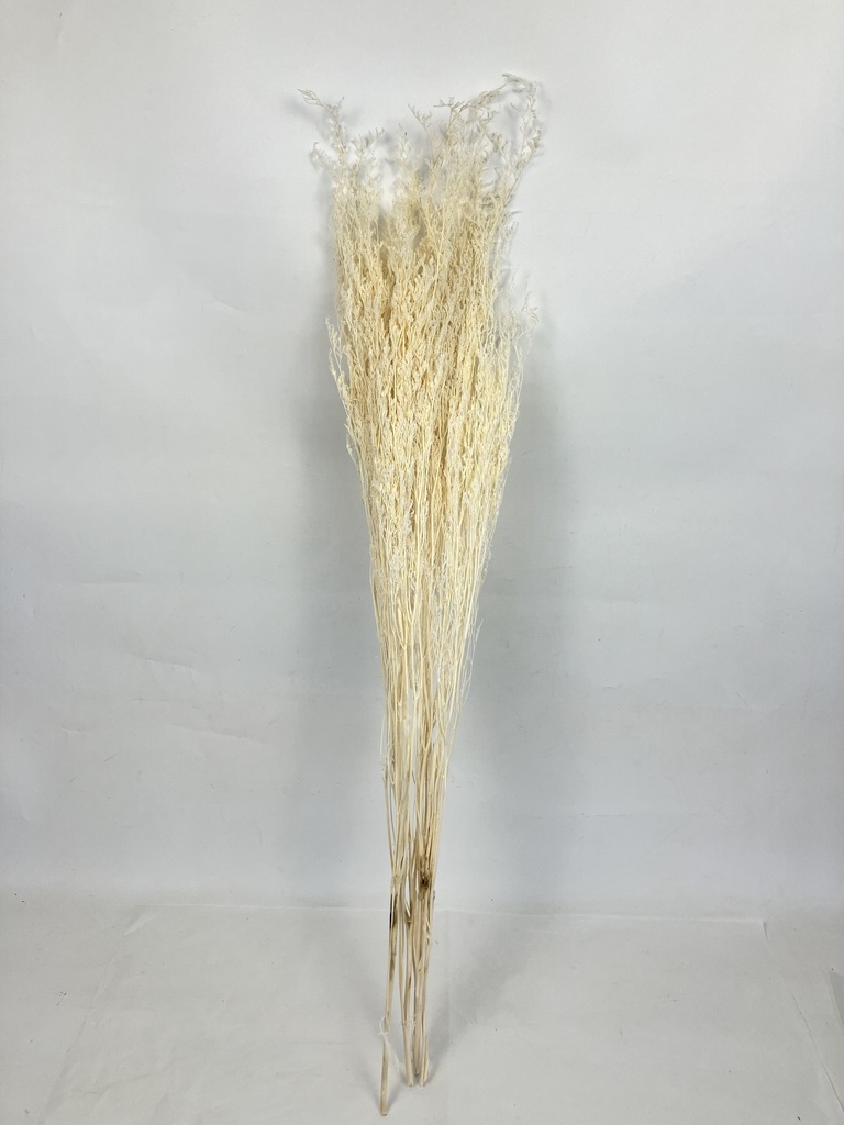 White/Limoniums/Caspia (Lover Grass)