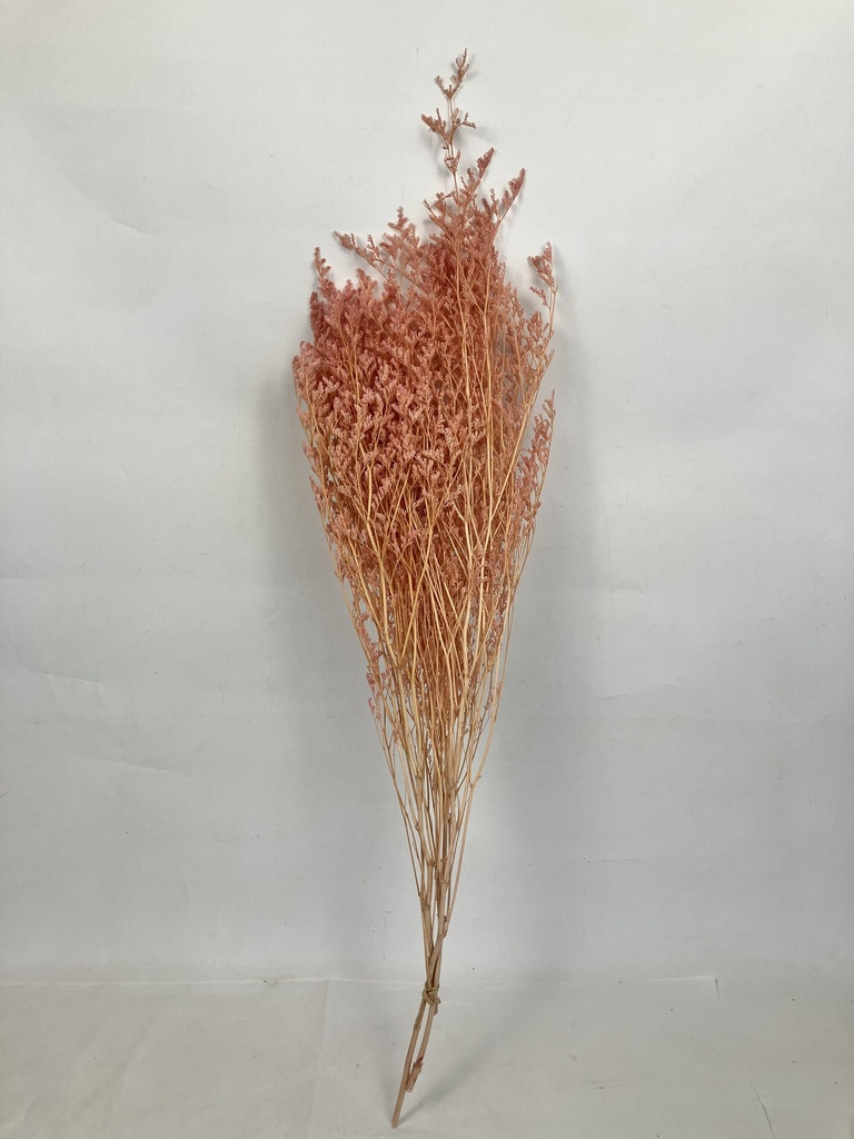 Pink/Limoniums/Caspia (lover grass)