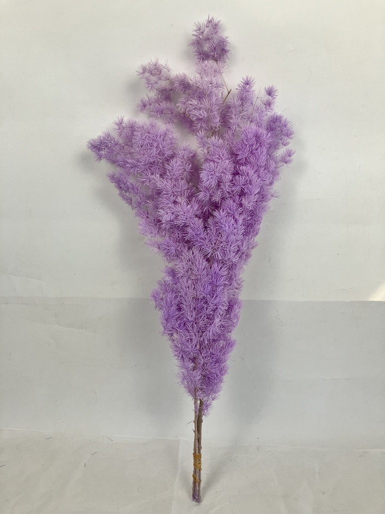 Lavender Grey/Ming Fern (Asparagus Myriocladus)