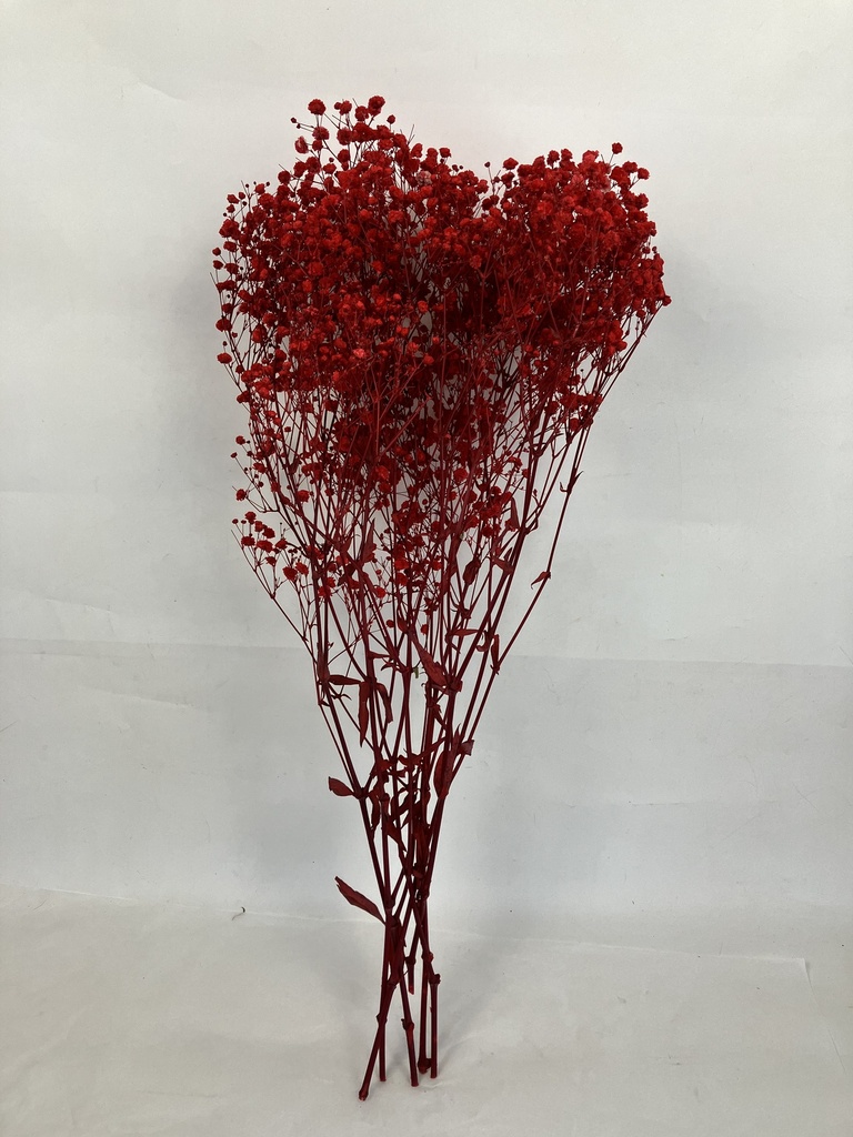 Red/Bleached Gypsophila 