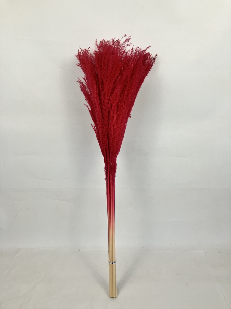 Red/Maiden Grass