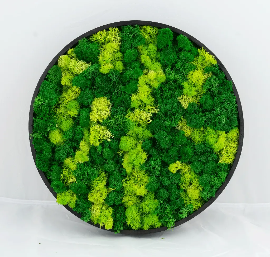 30cm/Moss Home Decor Wall 