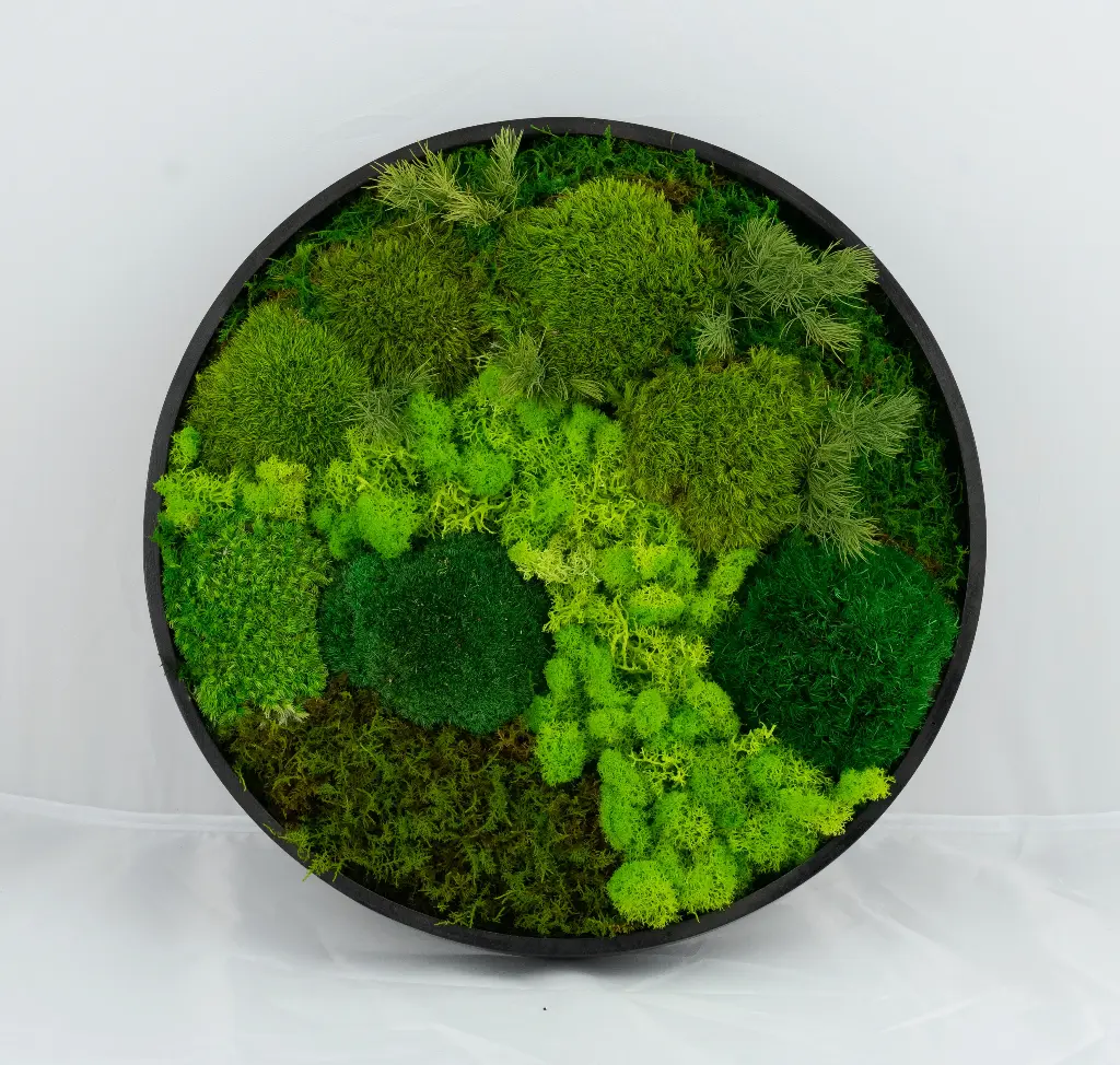 30cm/Moss Home Decor Wall Art