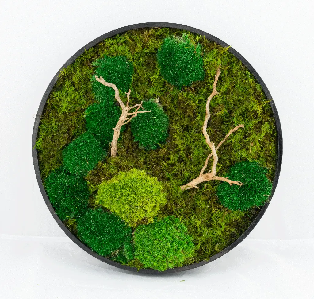 30cm/Moss Home Decor Wall Art