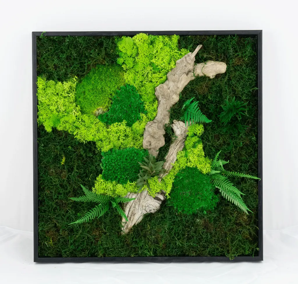 40cm/Moss Home Decor Wall Art