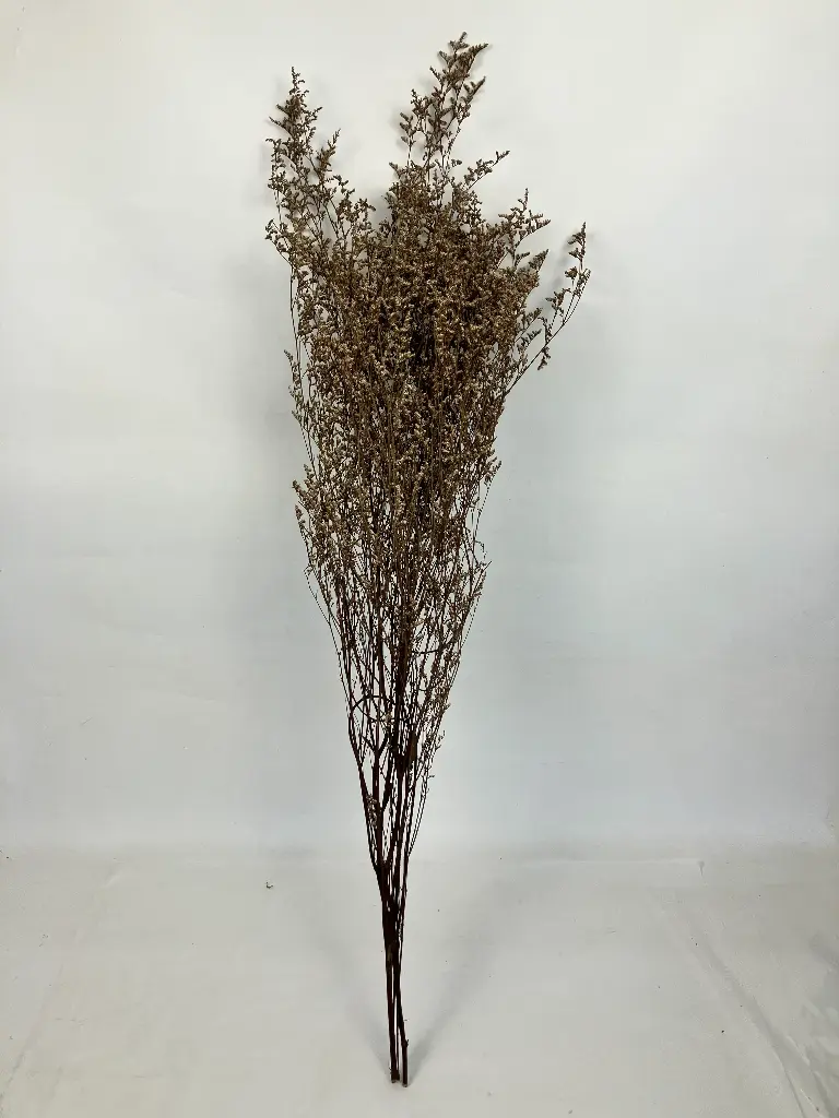  Natural/Limonium/Caspia (Lover grass)