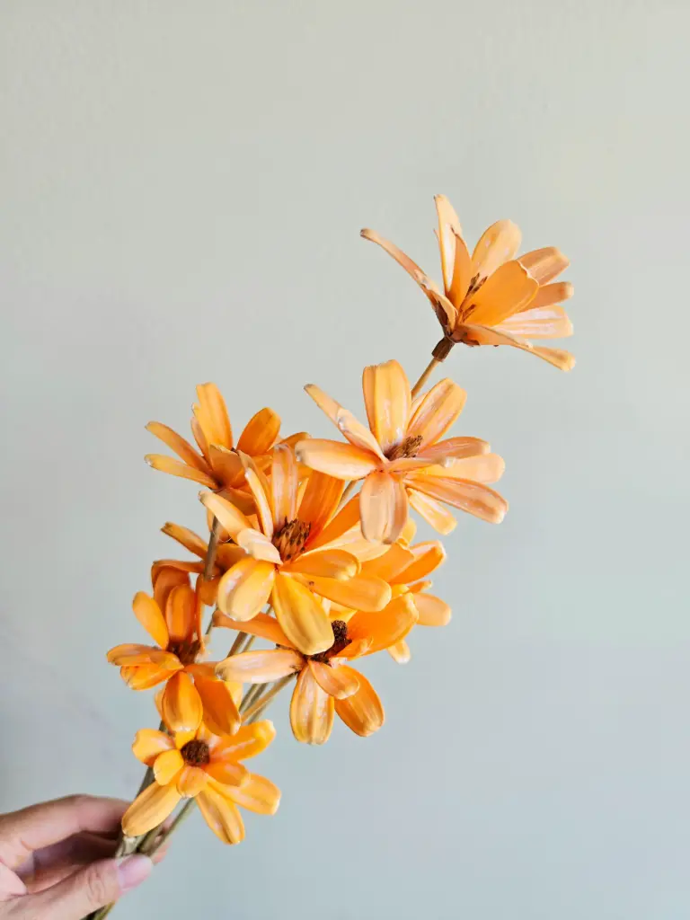 Tangerine/Sola Wood Petite Flower