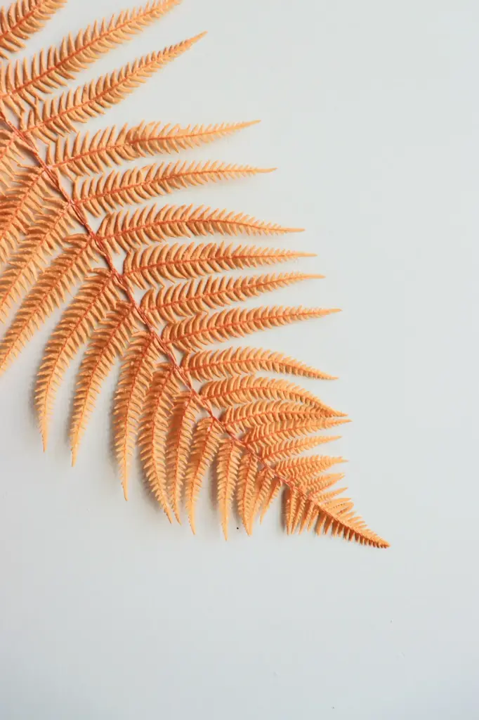 Orange/Frond