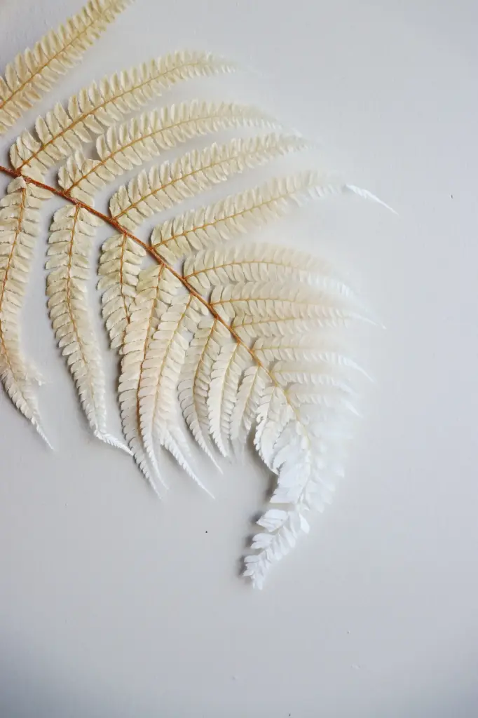Creamy White/Frond 