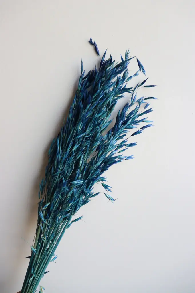 Ocean Blue/Oat