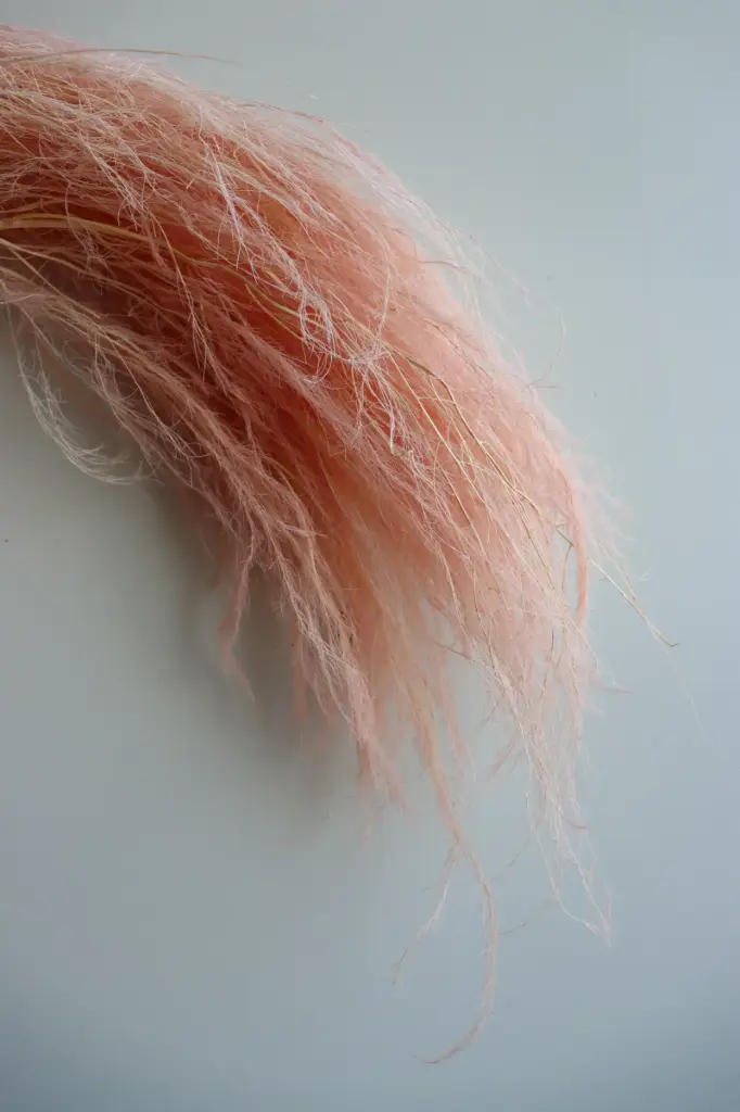 Pink/Chinese Alpine Rush