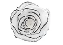 Chanson / Preserved Rose