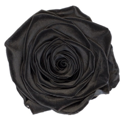  Black / Preserved Rose