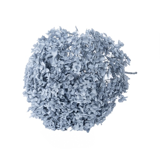 [dark grey] Dark grey/Snowball Bush Viburnum