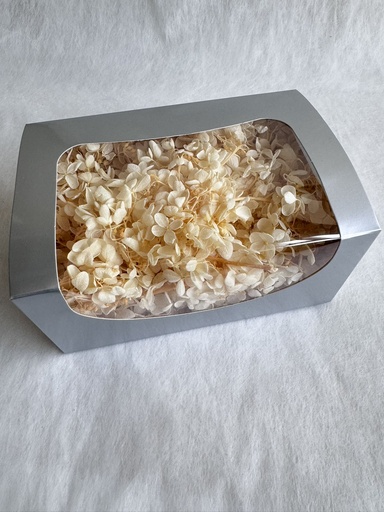 [pedal] White Cream / Hydrangea 