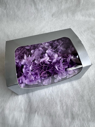 [pedal] Purple / Hydrangea