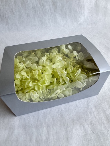 [pedal] Light Green / Hydrangea 