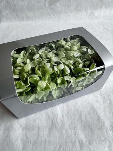 [pedal] Grass Green / Hydrangea 