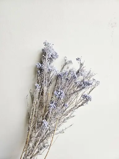 Dark Grey/Rice Flower