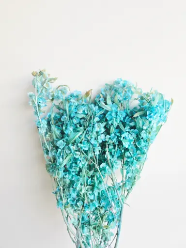 Tiffany Blue/Butterfly Flower