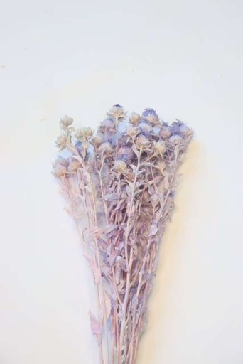 [light purple] Purple / Orange Pineapple Flower 