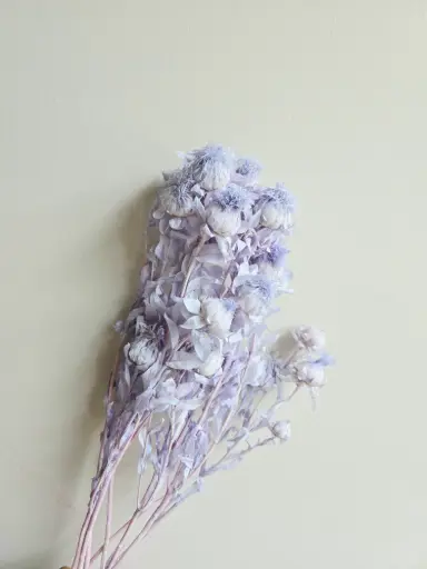 Purple / Orange Pineapple Flower 