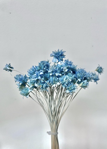 [sky blue] Sky Blue/Small Mountain Flower(Mini Cone Flower）